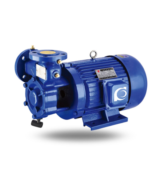 1W Single-Stage Direct-Coupled Vortex Pump