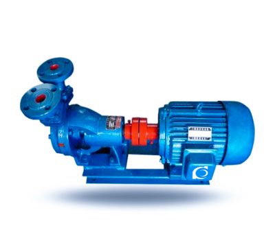 W Single-Stage Cantilever Vortex Pump
